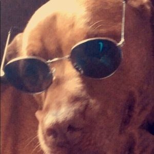 Meet your Posher, Lucy